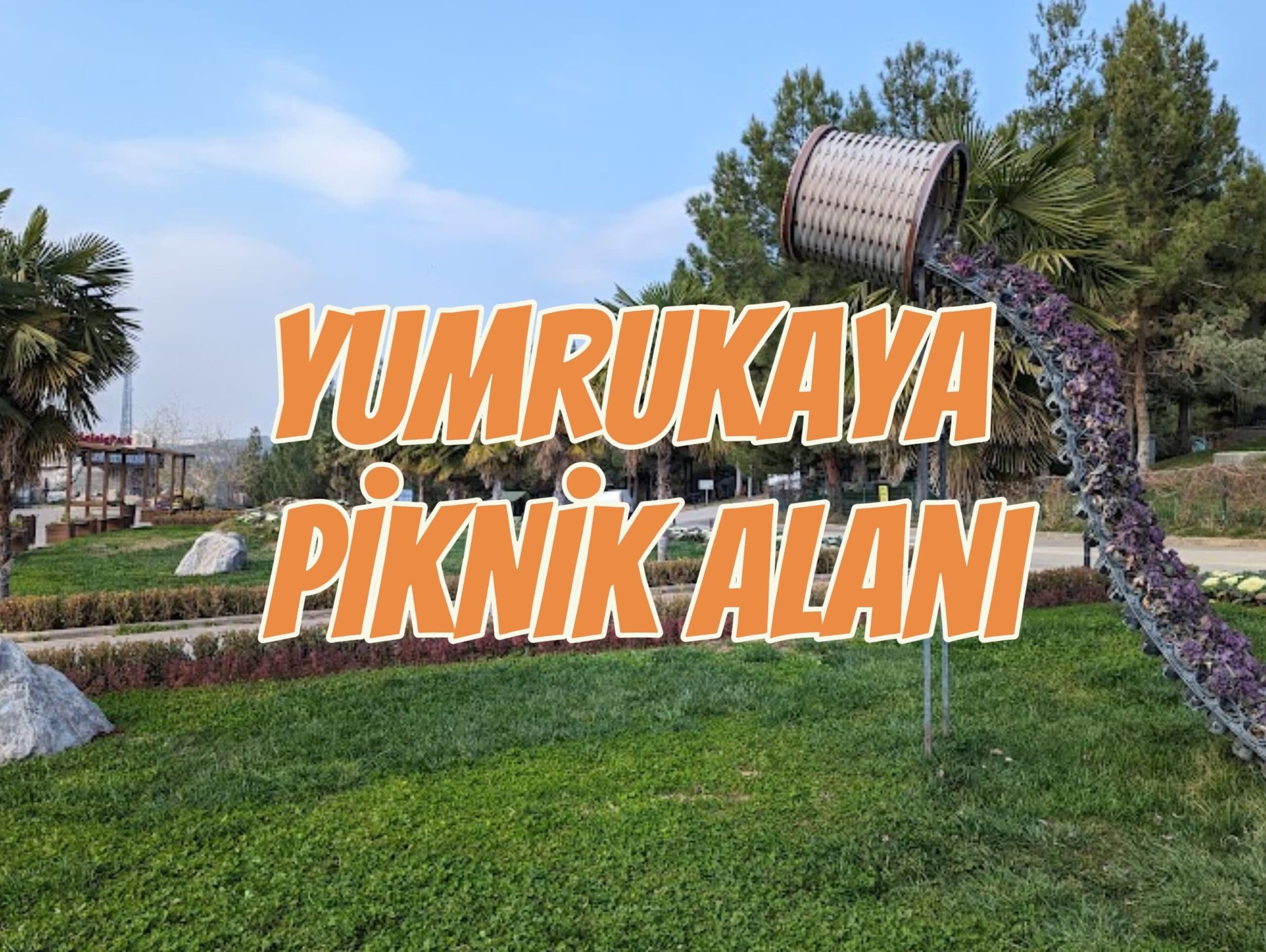 Yumrukaya Piknik Alanı: Gebze’de Doğayla Buluşma Noktanız