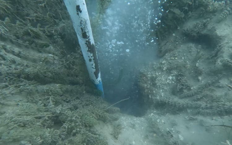 Sapanca Gölü’nde Gizemli Kabarcıklar