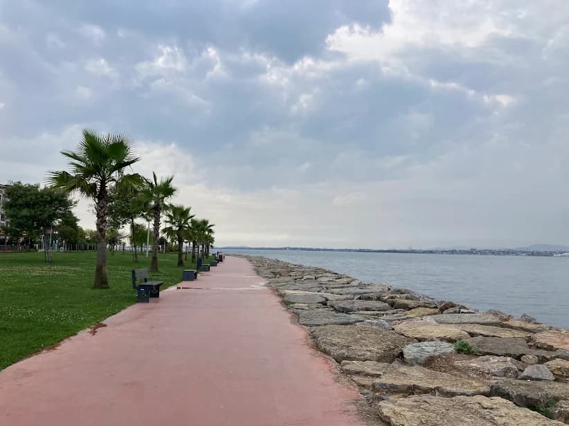 Darıca Balyanoz Koyu: Kasım Sonu Deniz Havasının En Güzel Adresi